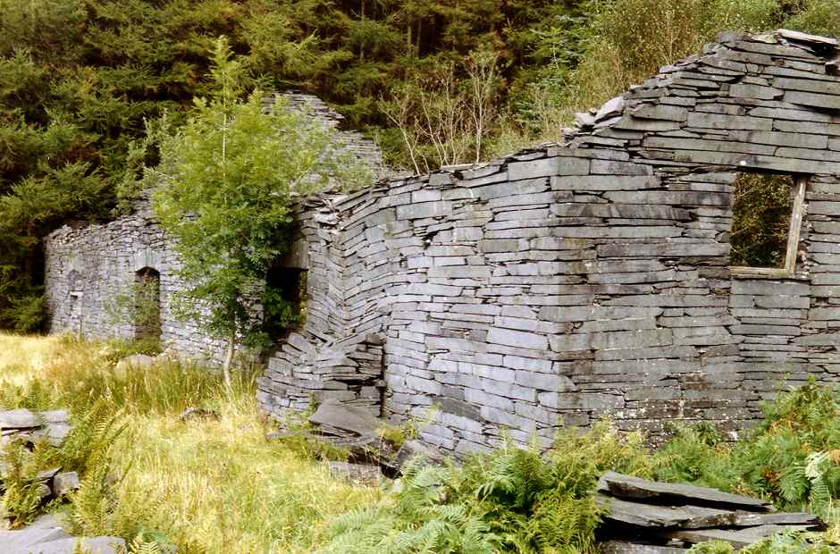 * [Pic 2] Ratgoed Quarry - 'Middle' mill remains (Sept 1987) *