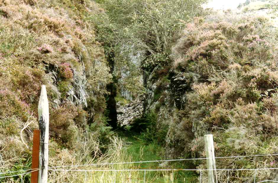 * [Pic 5] Ratgoed Quarry - Old cutting (Sept 1987) *