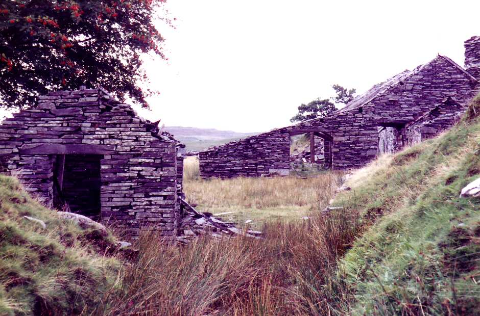 * [Pic 4] Rhos Quarry - view from the cutting (Aug 1982) *