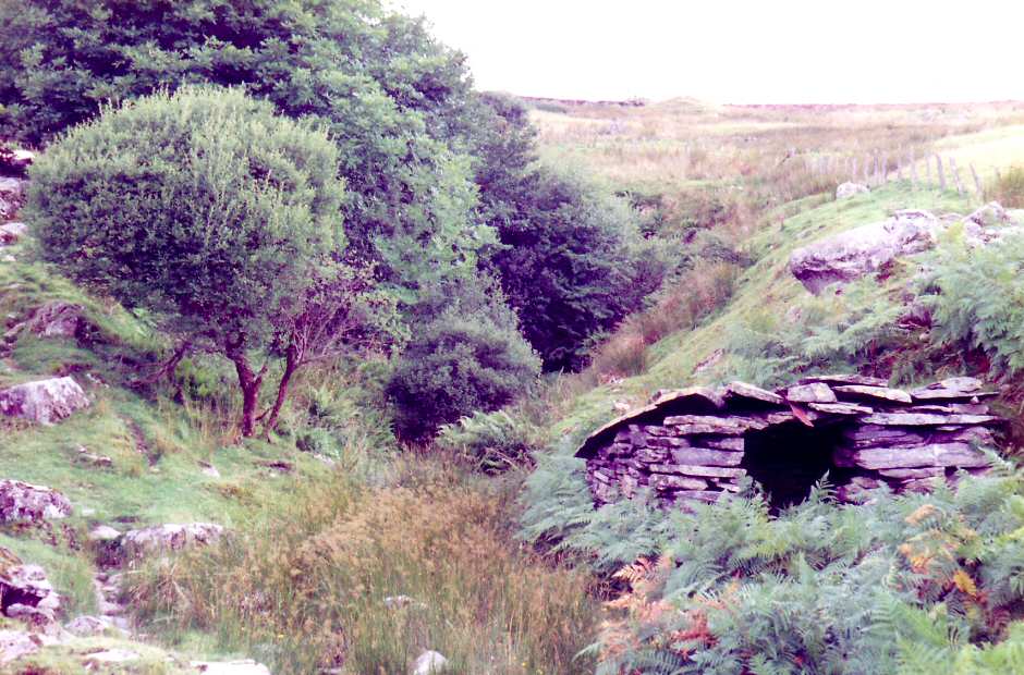 * [Pic 5] Rhos Quarry - Drainage tunnel (Aug 1982) *