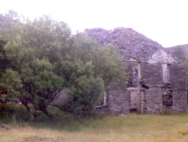 * [Pic 4] Bryn Eglwys Quarry - Carpenters Shop and Barracks (1979) *