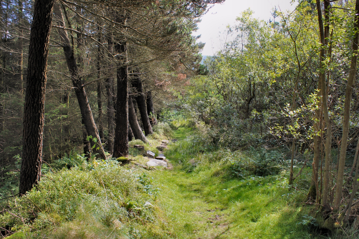 * Bryneglwys Slate Quarry - Abergynolwyn (Remains Of The Welsh Slate Industry) *