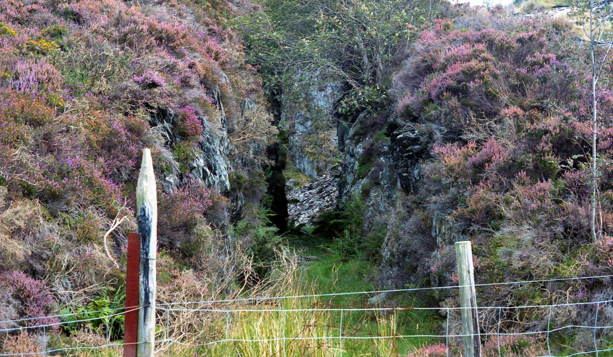 * [Pic 12] Ratgoed Slate Quarry - Level 5 cutting (Sept 1987) *