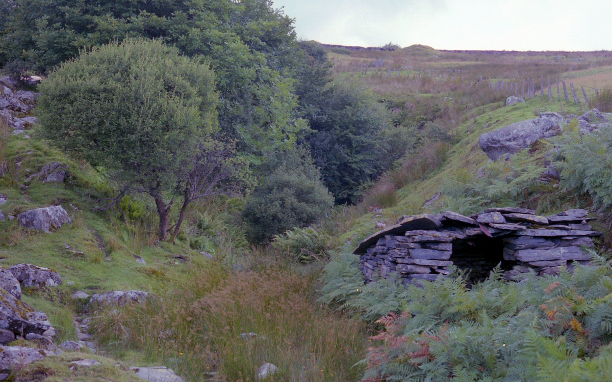 * [Pic 8] Rhos Slate Quarry - Drainage tunnel (Aug 1982) *